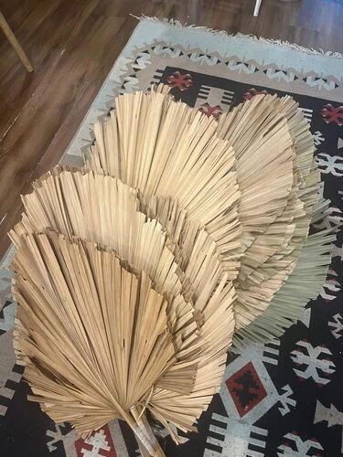 Daun Pelepah - Big