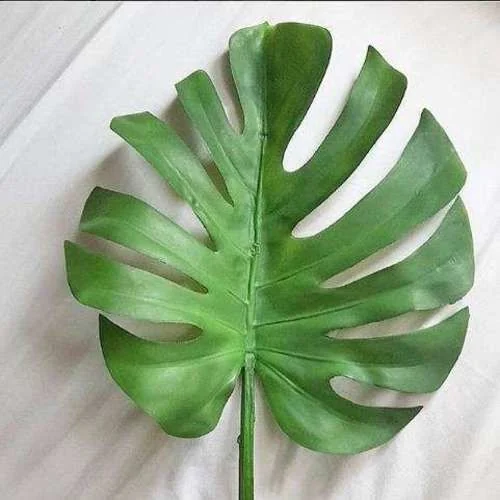 (SM) Daun Hijau