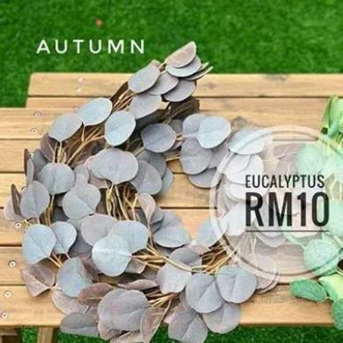 (SM) Flora - Eucalyptus Autumn