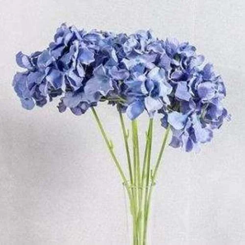 (SM) Flower Hydrangea - Purple (New)