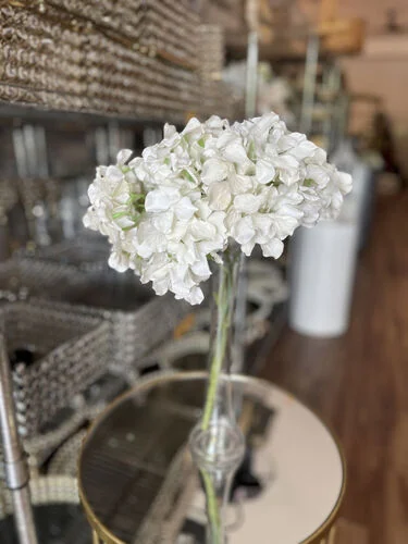 (SM) Hydrangea Version 1 - White