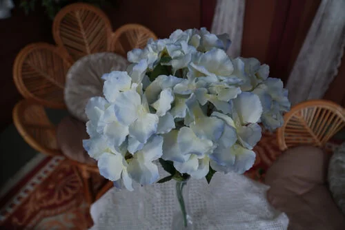 (SM) Hydrangea  - White