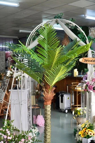 ™ Pokok Kurma (6.7ft)